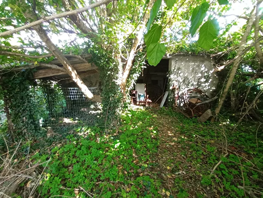 Immagine 19 di Rustico / casale in vendita  a Lucca