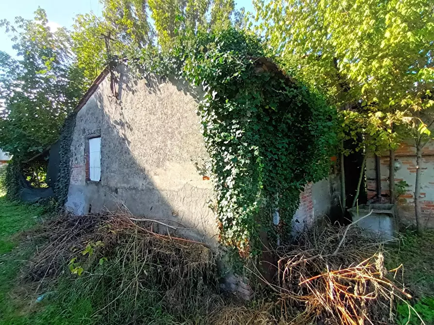 Immagine 8 di Rustico / casale in vendita  a Lucca