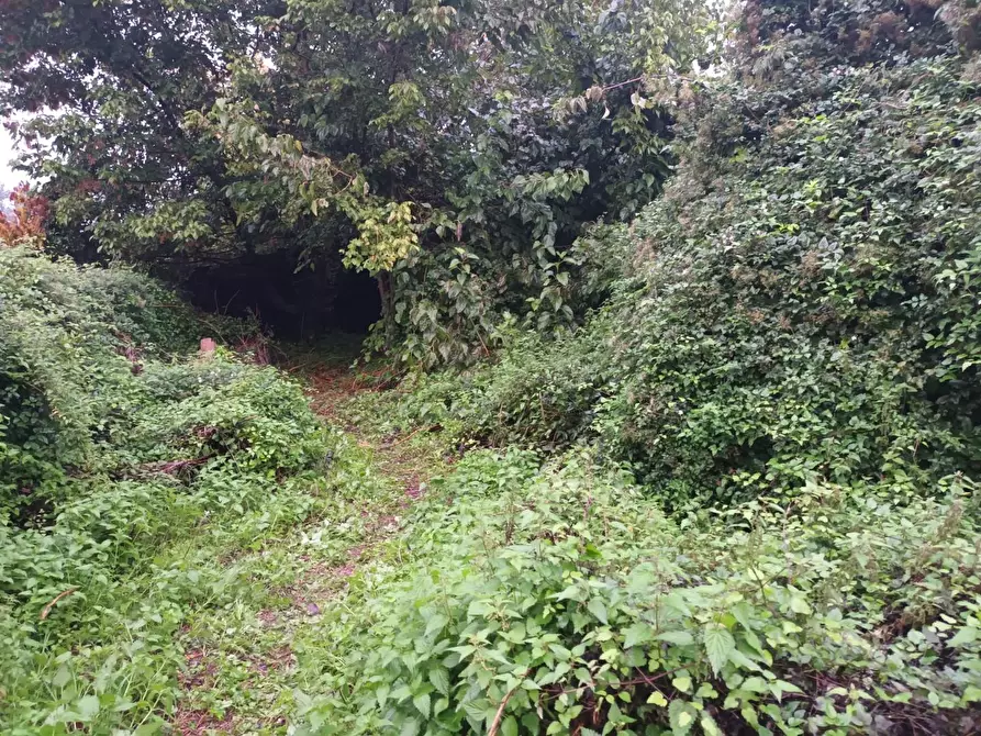 Immagine 23 di Rustico / casale in vendita  a Lucca