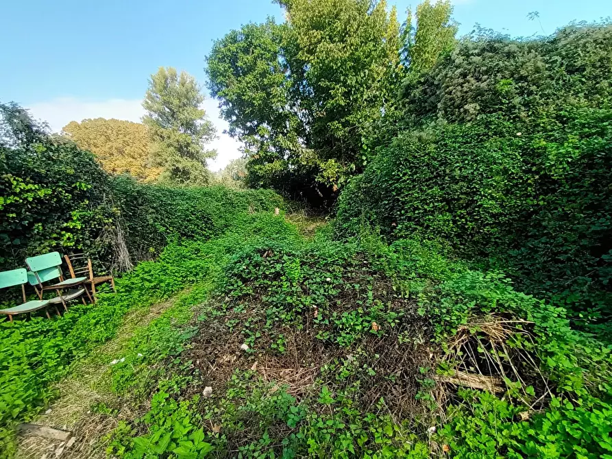 Immagine 9 di Rustico / casale in vendita  a Lucca