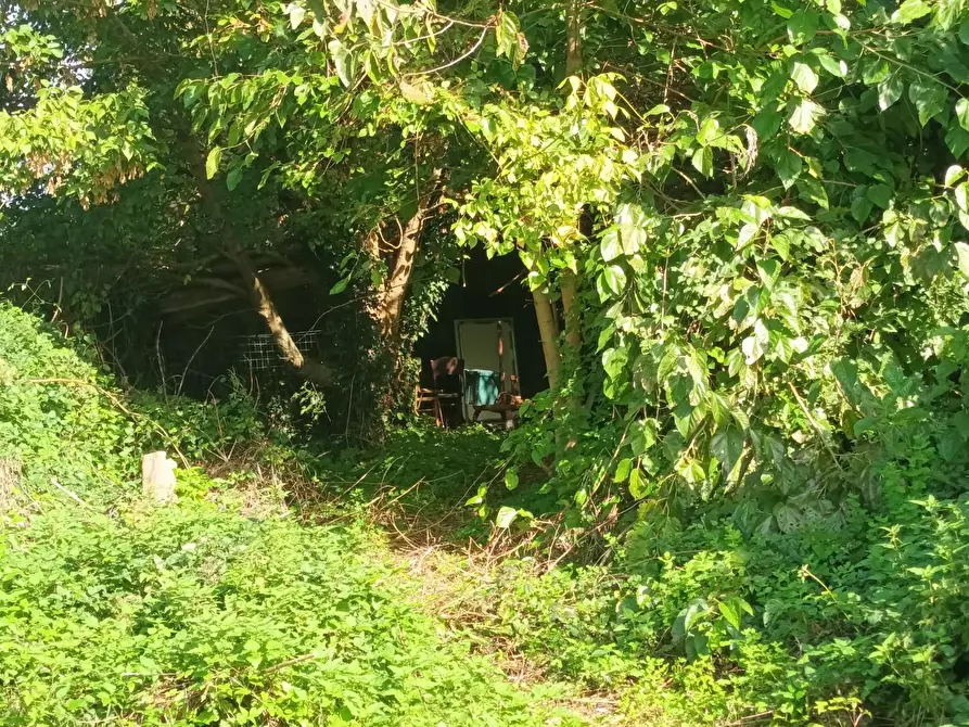 Immagine 10 di Rustico / casale in vendita  a Lucca