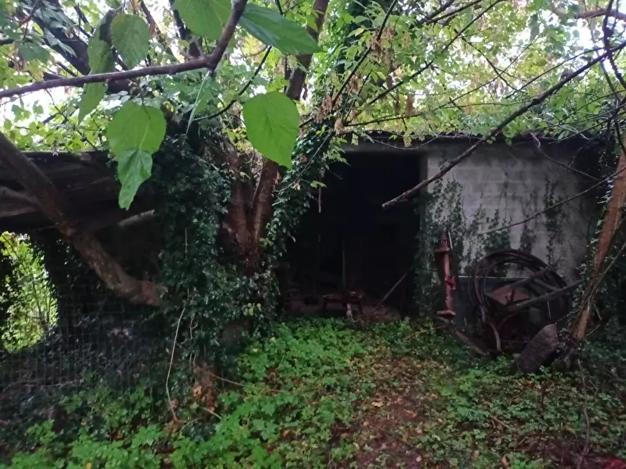 Immagine 21 di Rustico / casale in vendita  a Lucca