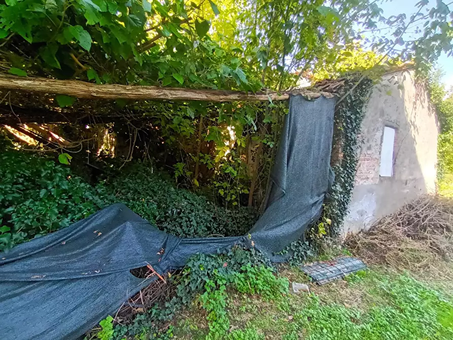 Immagine 6 di Rustico / casale in vendita  a Lucca