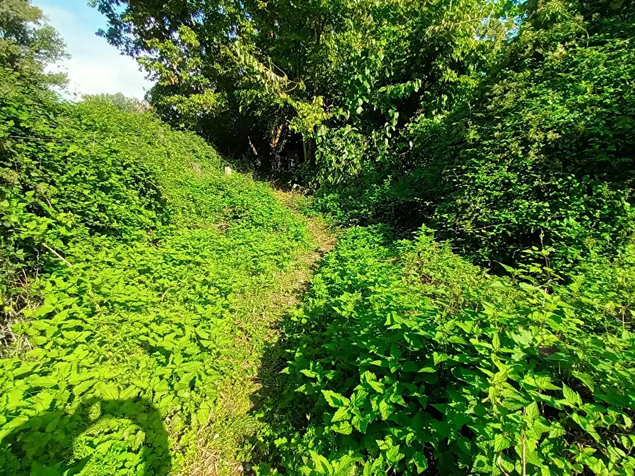 Immagine 11 di Rustico / casale in vendita  a Lucca