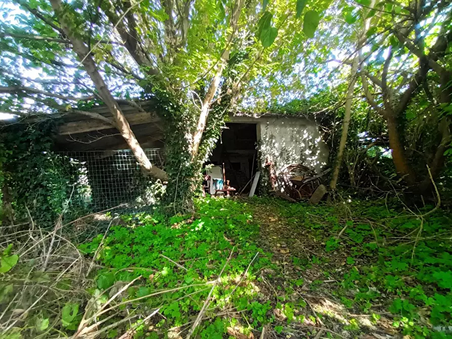 Immagine 3 di Rustico / casale in vendita  a Lucca