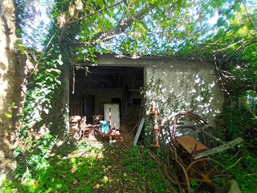 Immagine 18 di Rustico / casale in vendita  a Lucca