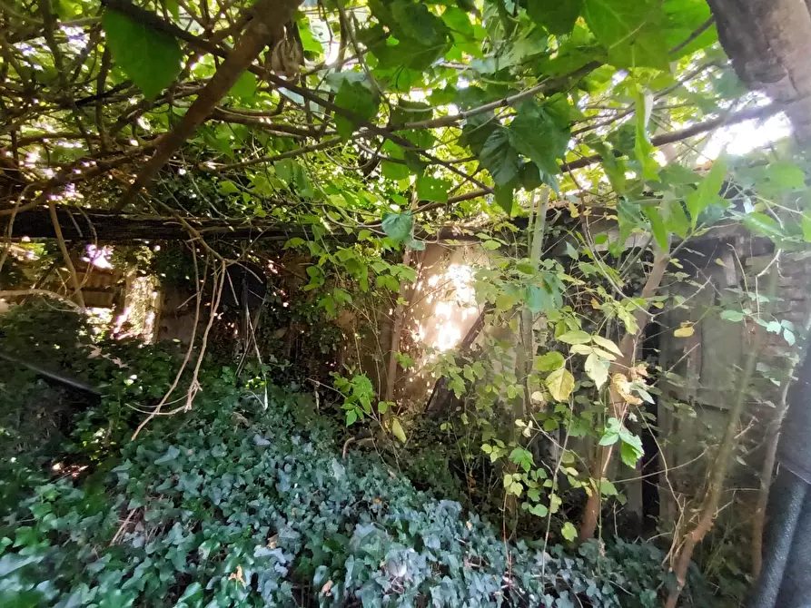 Immagine 4 di Rustico / casale in vendita  a Lucca