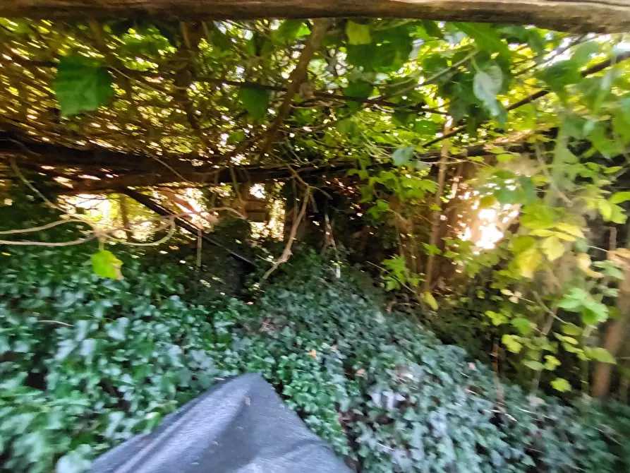 Immagine 5 di Rustico / casale in vendita  a Lucca