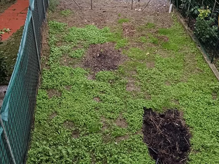 Immagine 4 di Terratetto in vendita  a Altopascio