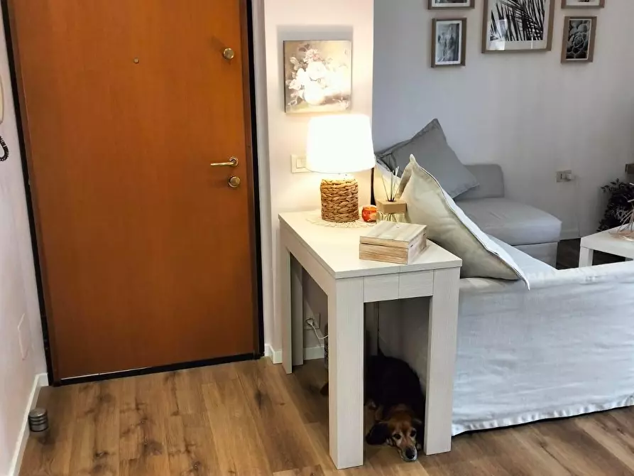 Immagine 11 di Appartamento in vendita  a Livorno