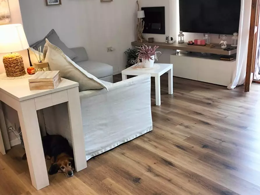 Immagine 10 di Appartamento in vendita  a Livorno