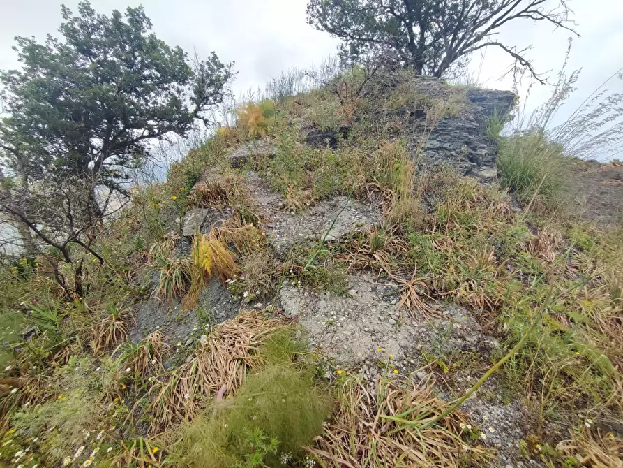 Immagine 16 di Terreno agricolo in vendita  a Castelmola