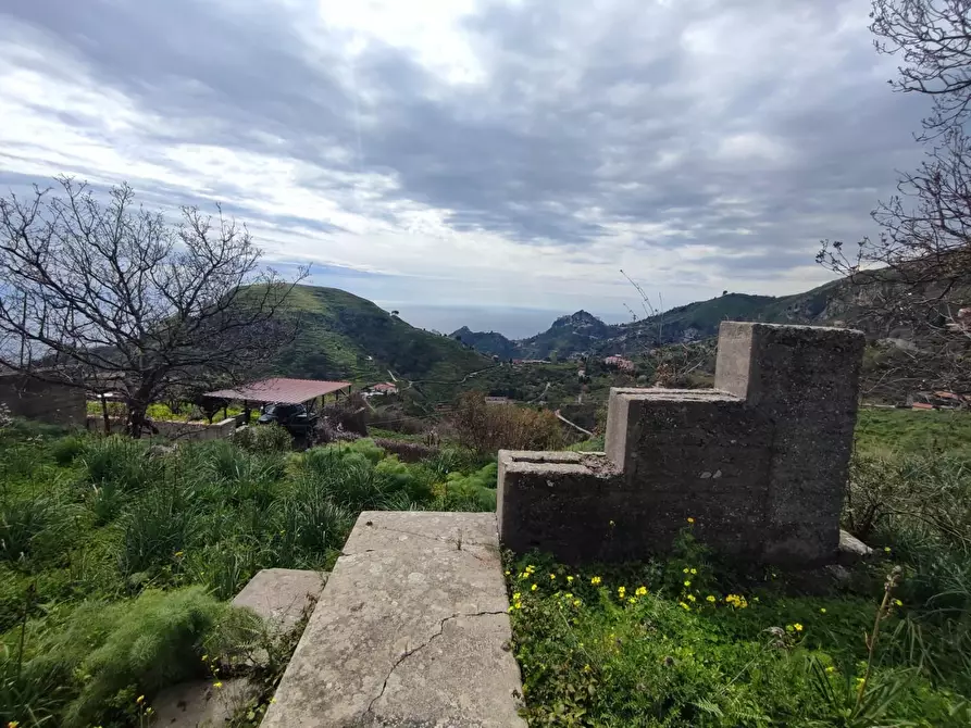 Immagine 8 di Terreno agricolo in vendita  a Castelmola