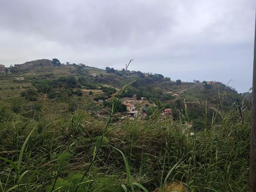 Immagine 4 di Terreno agricolo in vendita  a Castelmola
