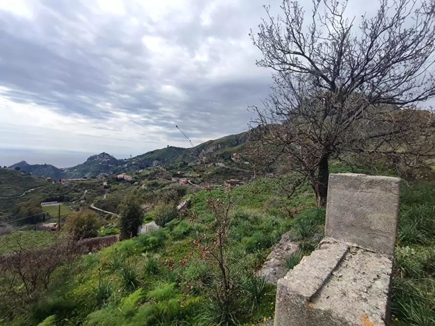 Immagine 5 di Terreno agricolo in vendita  a Castelmola