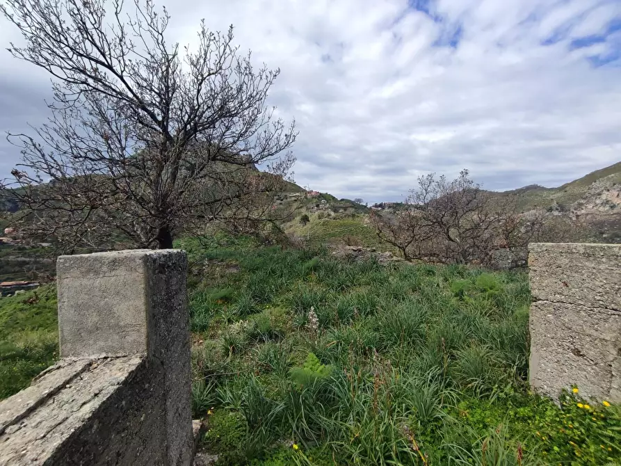 Immagine 9 di Terreno agricolo in vendita  a Castelmola