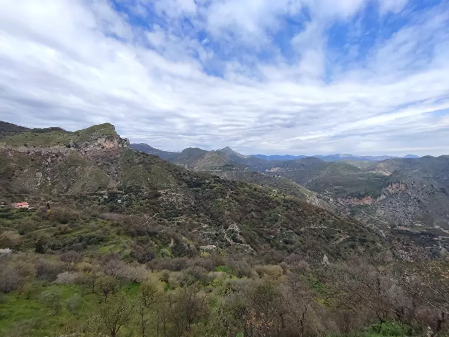 Immagine 3 di Terreno agricolo in vendita  a Castelmola