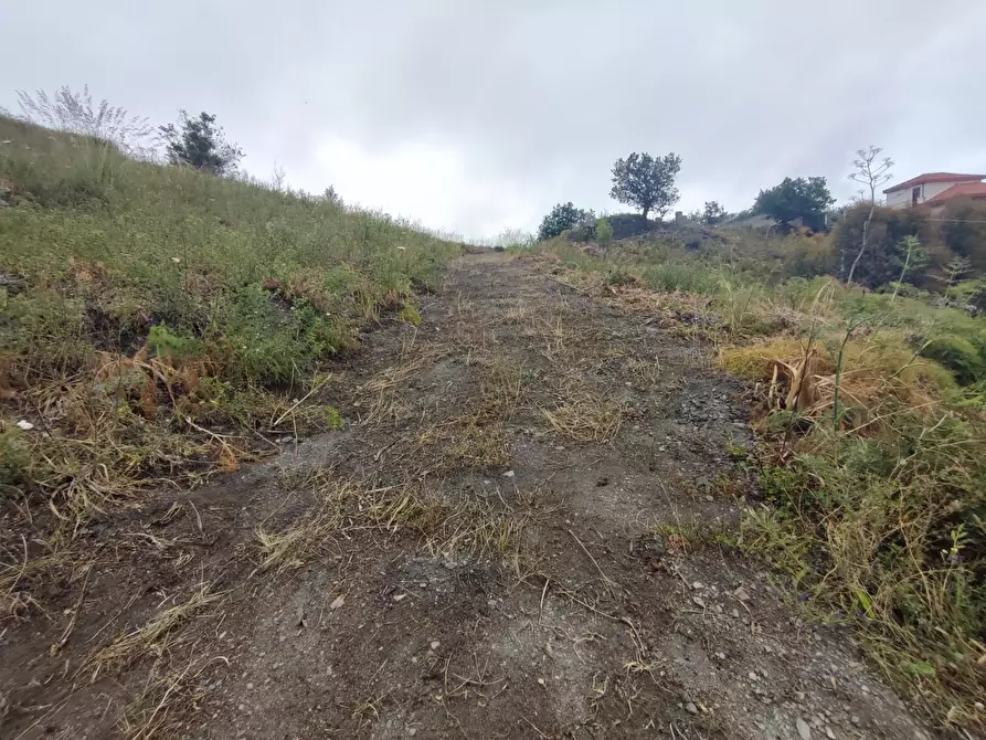 Immagine 14 di Terreno agricolo in vendita  a Castelmola