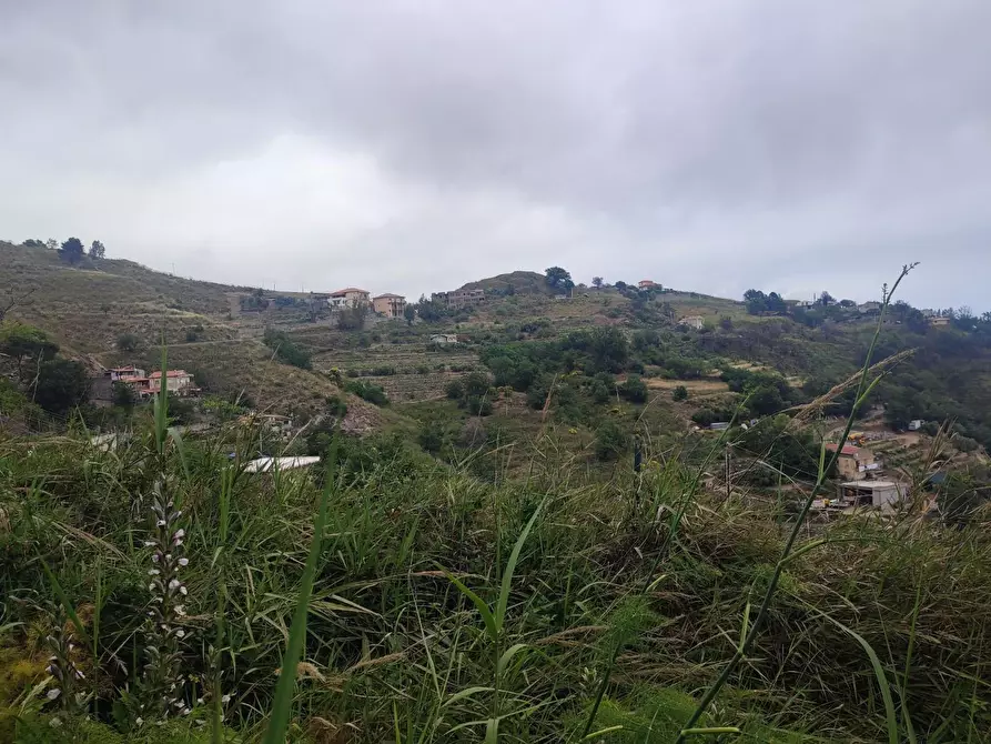 Immagine 12 di Terreno agricolo in vendita  a Castelmola