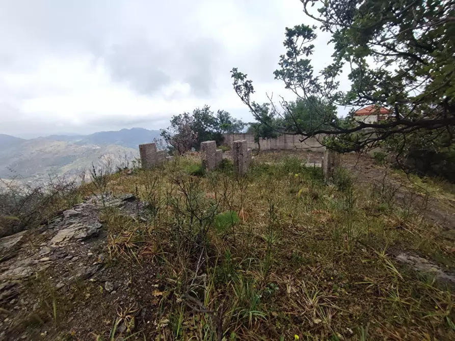 Immagine 17 di Terreno agricolo in vendita  a Castelmola