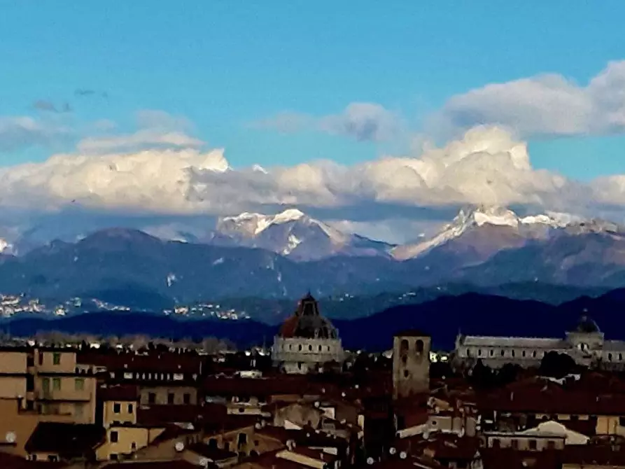 Immagine 25 di Mansarda in vendita  a Pisa