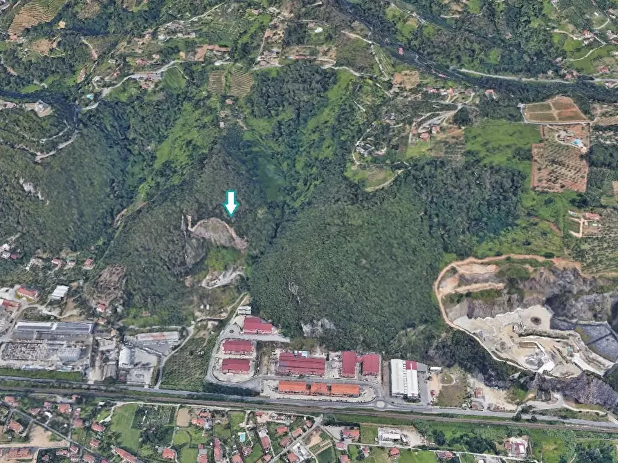 Immagine 1 di Terreno agricolo in vendita  a Montignoso