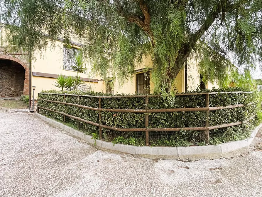 Immagine 5 di Appartamento in vendita  a Rosignano Marittimo