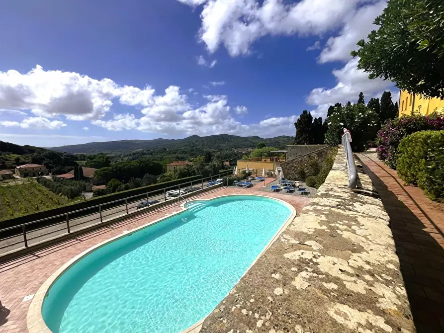 Immagine 18 di Appartamento in vendita  a Rosignano Marittimo