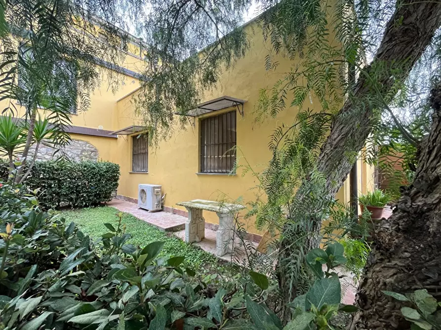 Immagine 3 di Appartamento in vendita  a Rosignano Marittimo