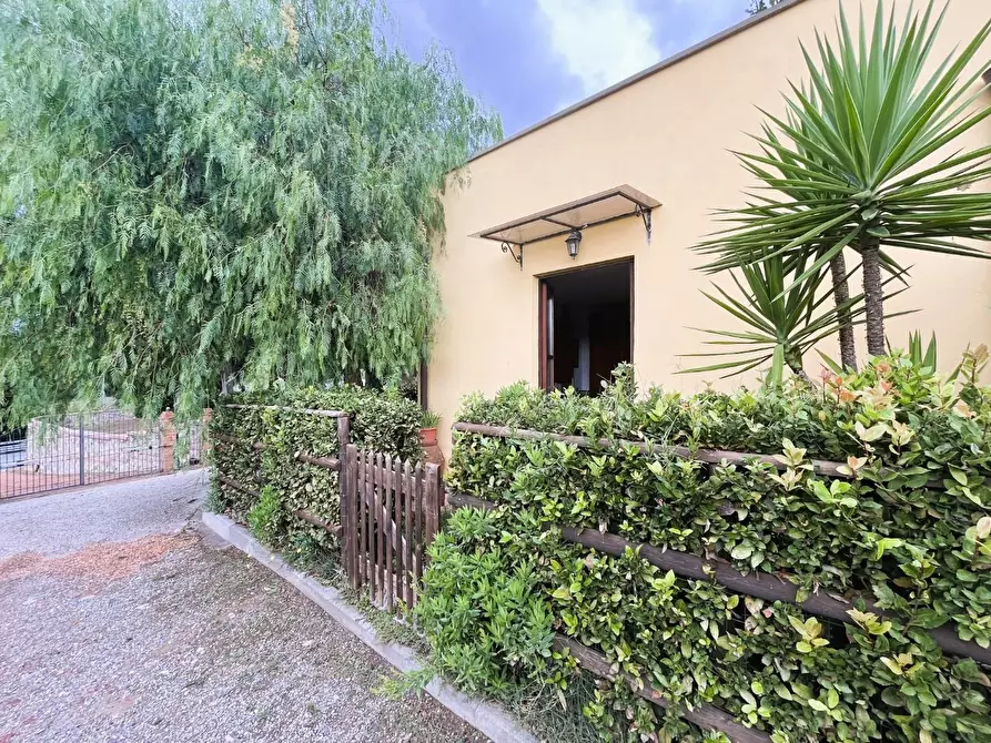 Immagine 6 di Appartamento in vendita  a Rosignano Marittimo