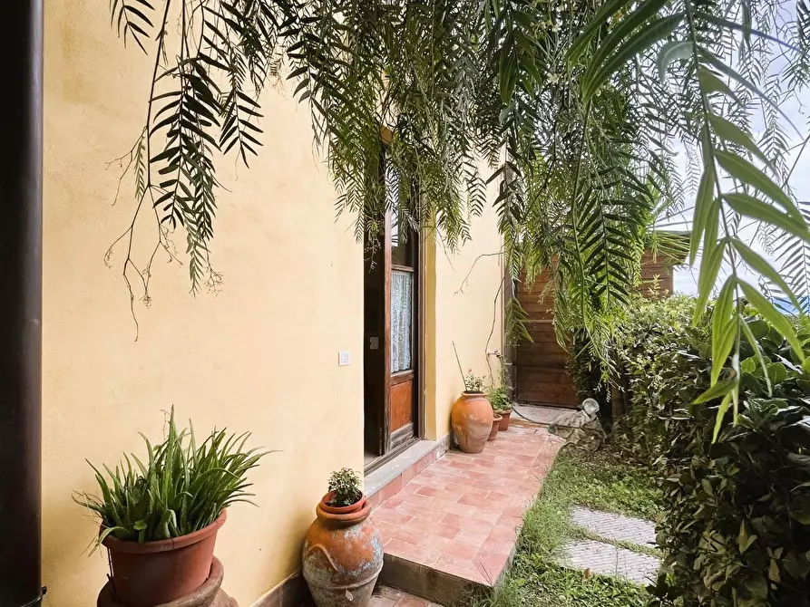 Immagine 7 di Appartamento in vendita  a Rosignano Marittimo