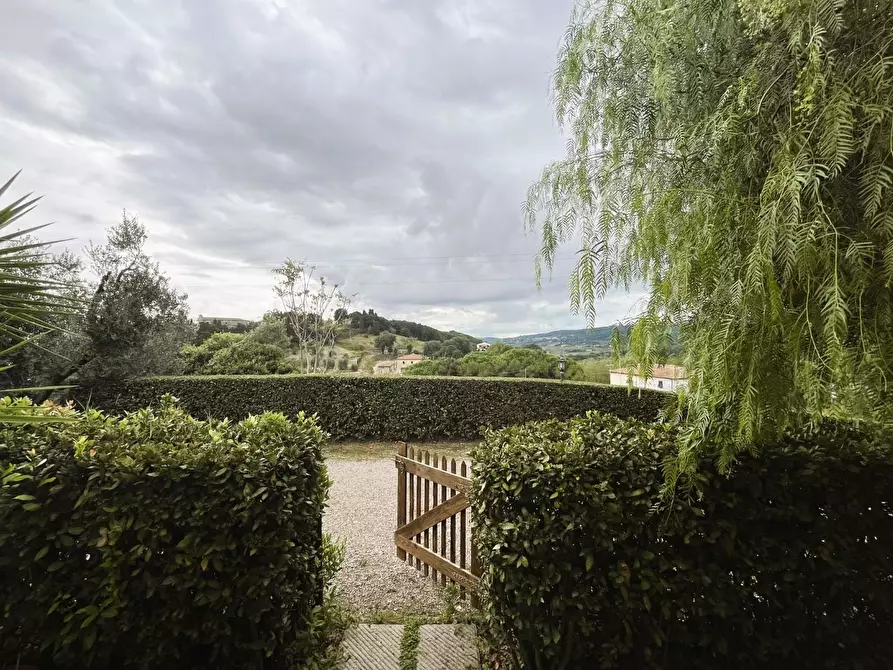 Immagine 10 di Appartamento in vendita  a Rosignano Marittimo