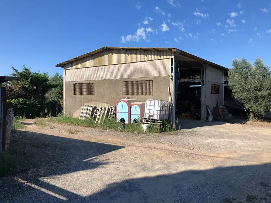 Immagine 5 di Terreno residenziale in vendita  a Cecina