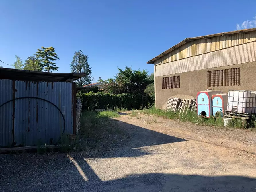 Immagine 4 di Terreno residenziale in vendita  a Cecina