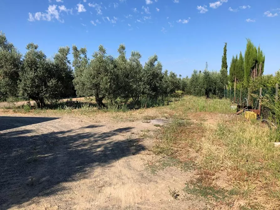 Immagine 1 di Terreno residenziale in vendita  a Cecina