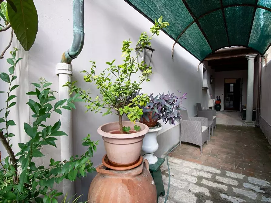 Immagine 38 di Appartamento in vendita  a Pontedera