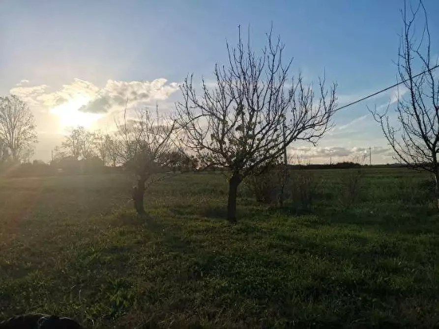 Immagine 2 di Villa in vendita  a Cascina