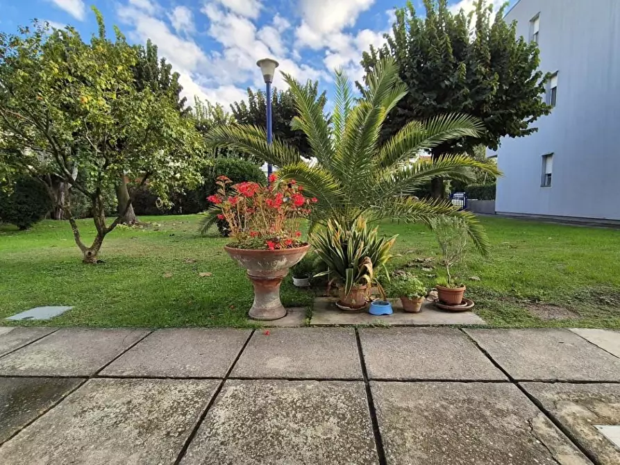 Immagine 69 di Appartamento in vendita  a Viareggio