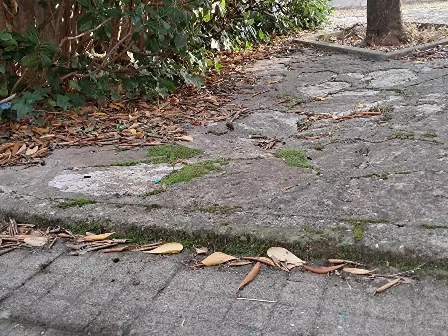 Immagine 17 di Casa indipendente in vendita  a Cascina