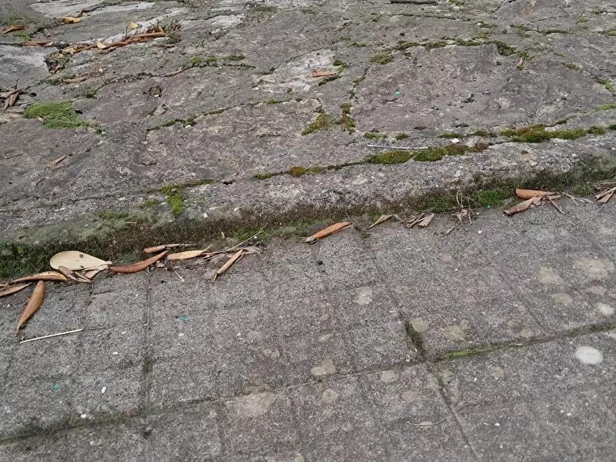 Immagine 16 di Casa indipendente in vendita  a Cascina