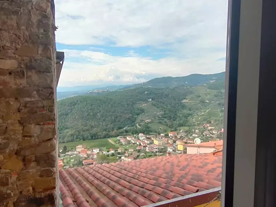 Immagine 21 di Terratetto in vendita  a Ortonovo