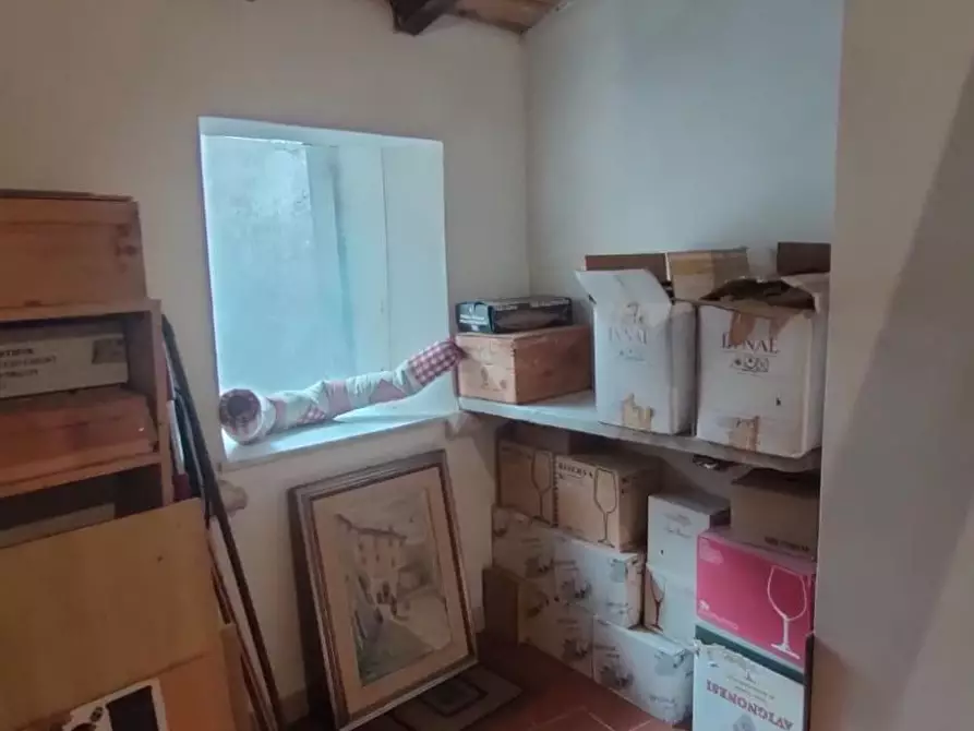 Immagine 8 di Terratetto in vendita  a Ortonovo