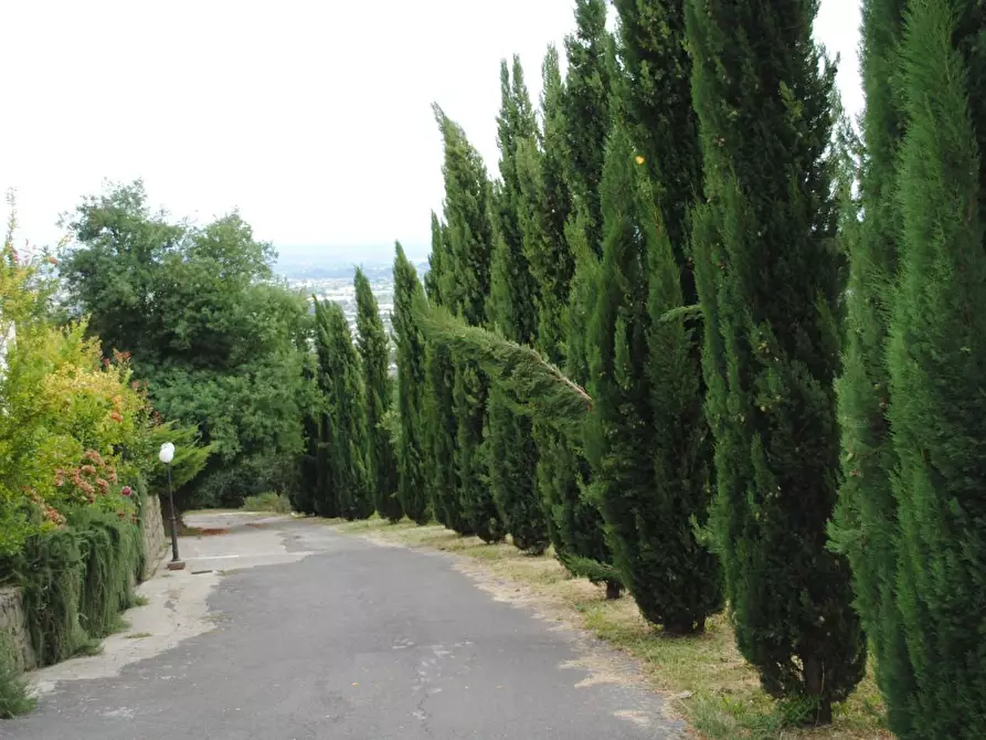 Immagine 46 di Casa colonica in vendita  a Pescia