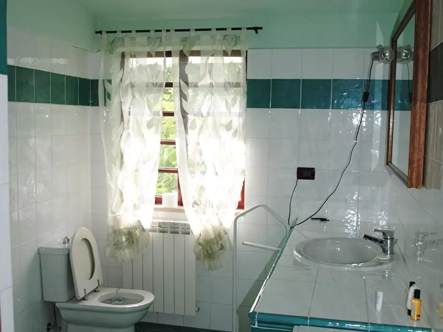 Immagine 38 di Casa colonica in vendita  a Pescia