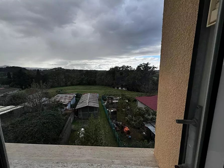 Immagine 9 di Appartamento in vendita  a Terricciola