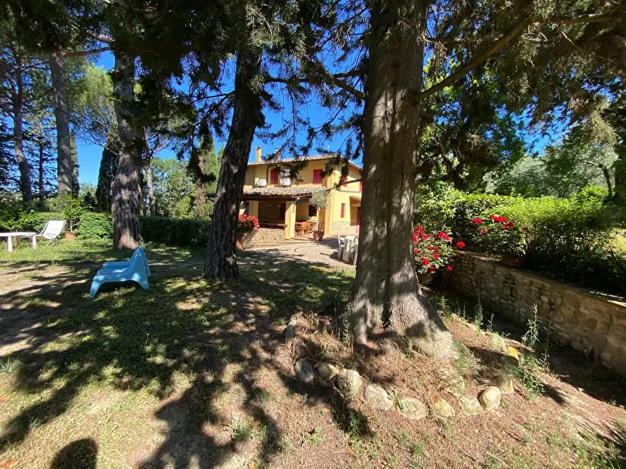 Immagine 5 di Casa indipendente in vendita  a Montespertoli