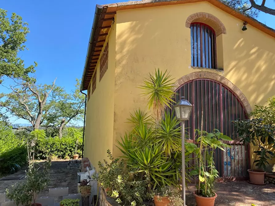 Immagine 10 di Casa indipendente in vendita  a Montespertoli