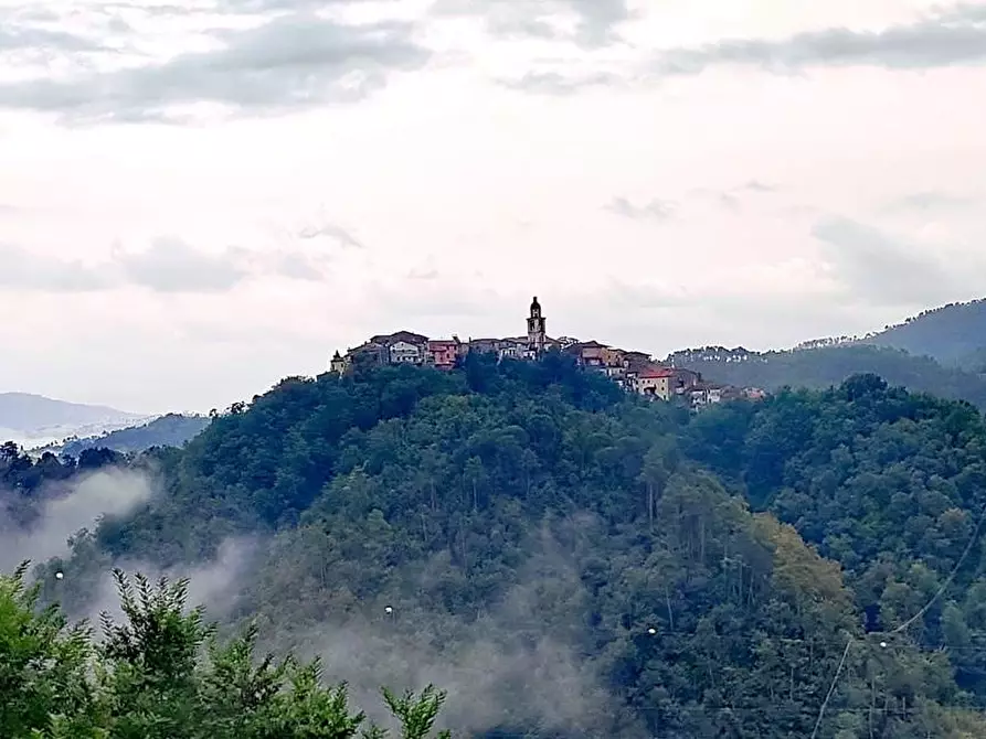 Immagine 1 di Terratetto in vendita  a Borghetto Di Vara