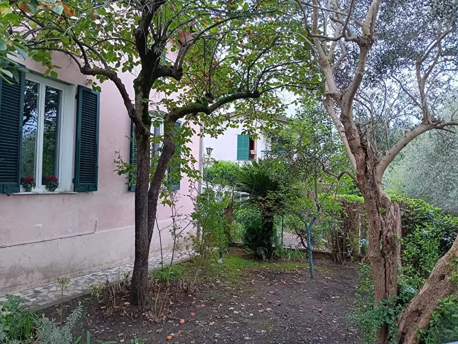 Immagine 3 di Casa indipendente in vendita  a Massa