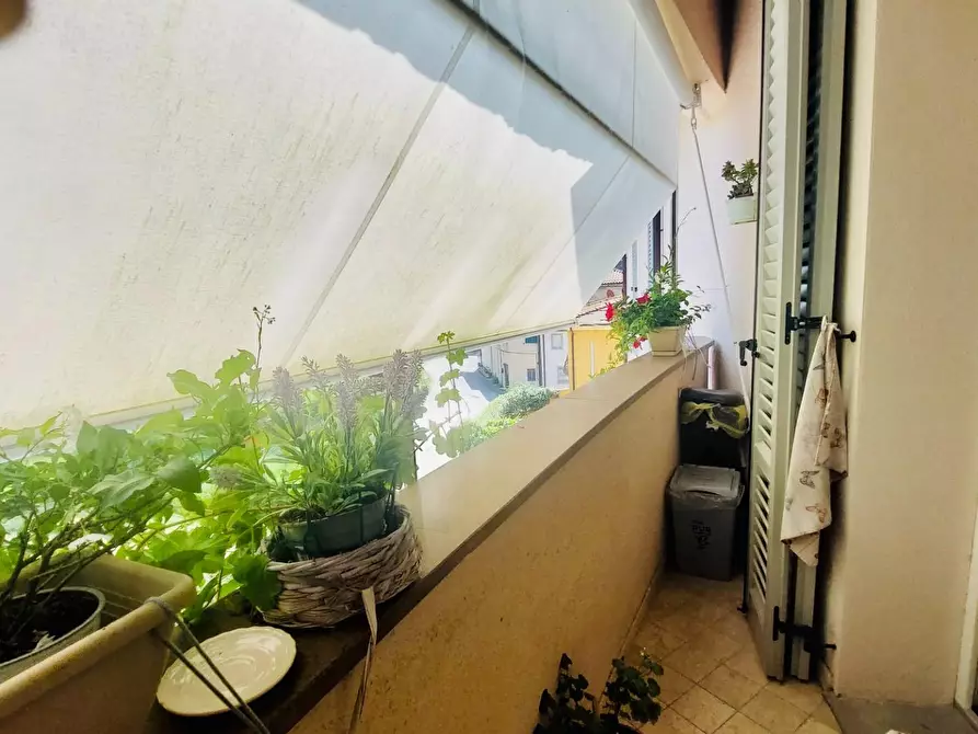 Immagine 6 di Appartamento in vendita  a Massarosa